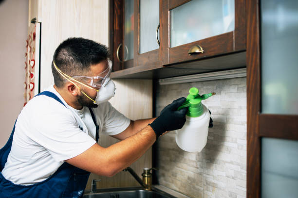 Best Emergency Pest Control  in Pleasureville, PA