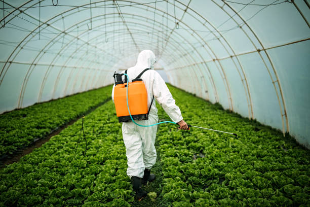 Best Pest Control Near Me  in Pleasureville, PA