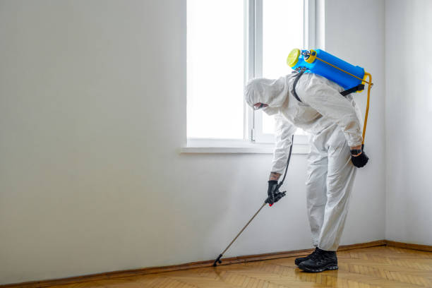 Best Pest Prevention Services  in Pleasureville, PA
