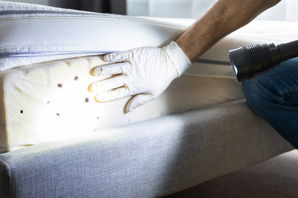 Best Mosquito Control Services  in Pleasureville, PA