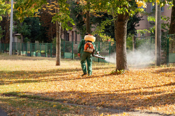 Best Termite Control Services  in Pleasureville, PA