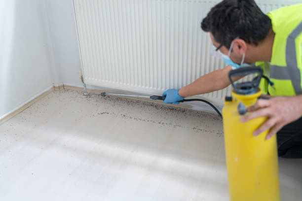 Best Residential Pest Control  in Pleasureville, PA